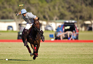 San Diego's Polo Scene Trots to the Top